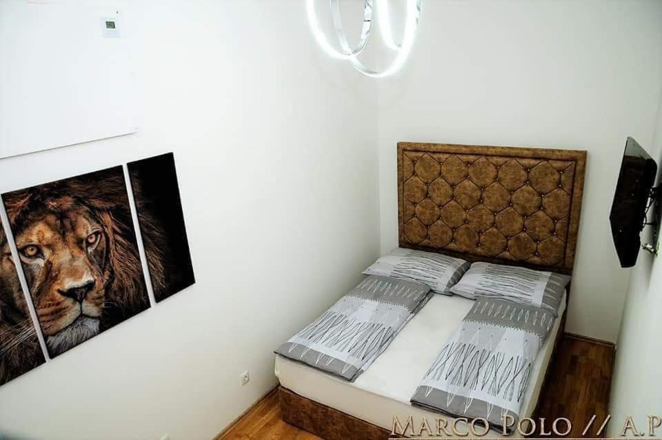 Markopolo Apartments Wina Bagian luar foto